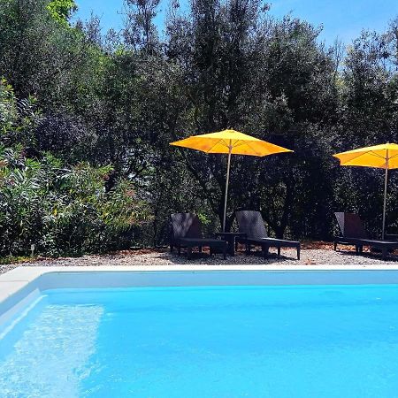 Chalet "Le Petit Olivier" Gites Appart 'Hotel L'Echappee Belle D'Aubenas Logement 2 Sur 3 Exterior foto